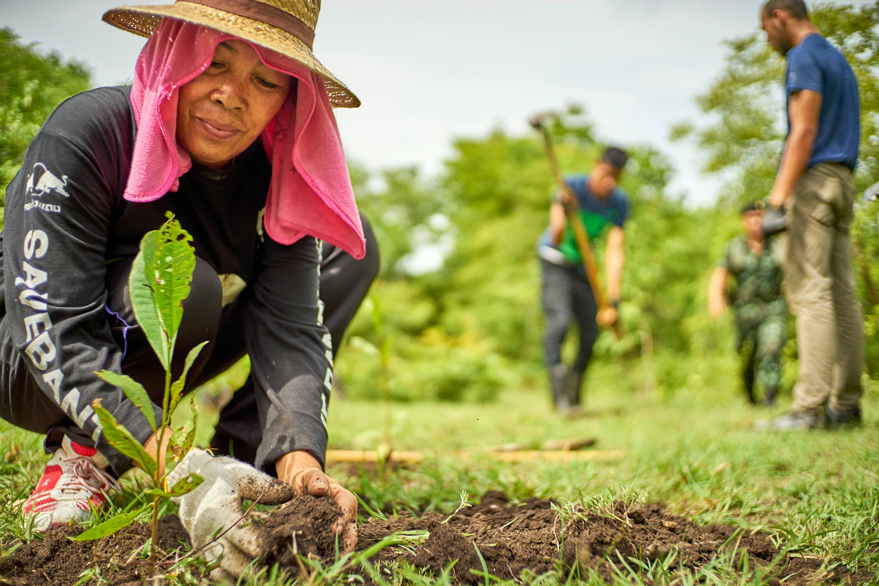Natural environment and community context, illustrating environmental work.